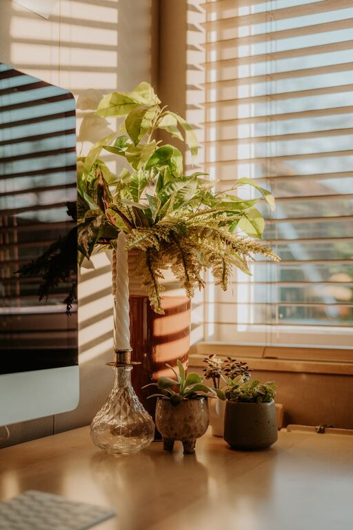 Tips for Creating a Cozy and Productive Home Office Space